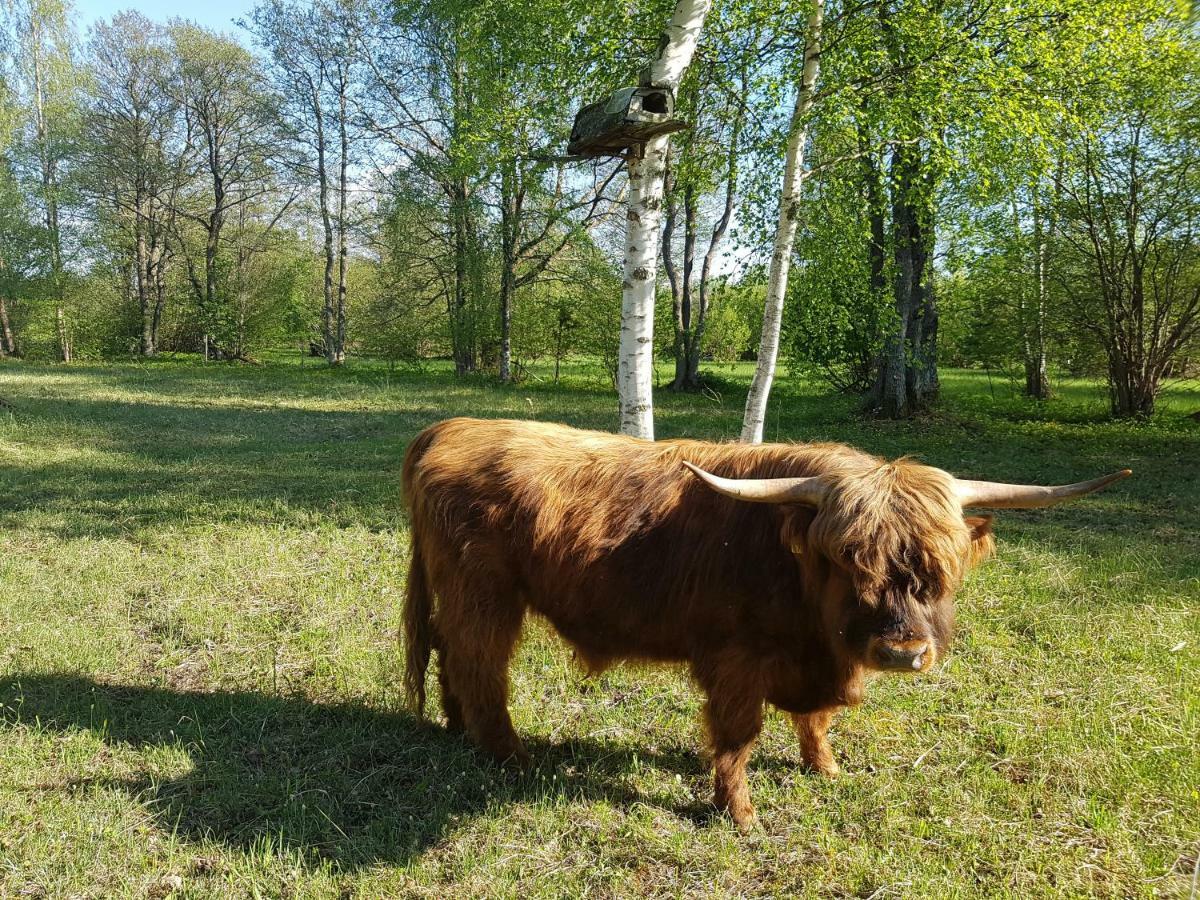 Risti Kodumajutus Appartement Lemsi Buitenkant foto